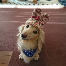 あづき色