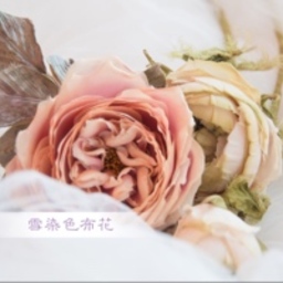 yuki-yuki66