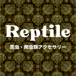 Reptile（昆虫爬虫類アクセサリー）