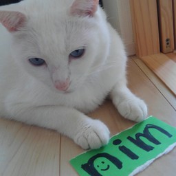 nim