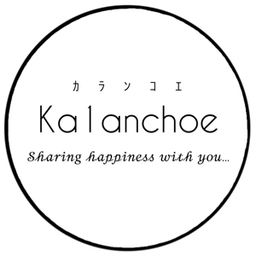 Ka1anchoe - ｶﾗﾝｺｴ - 