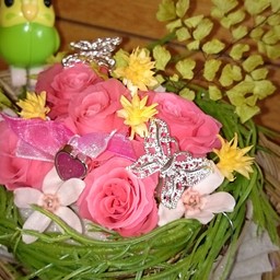 らんまるちゃん