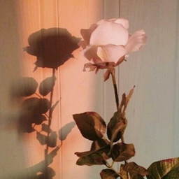 jolie  fleur'16