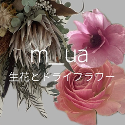 m_ua