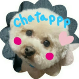 chatappp