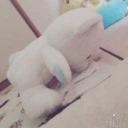 うか