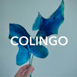 Colingo fowers