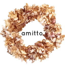 amitto