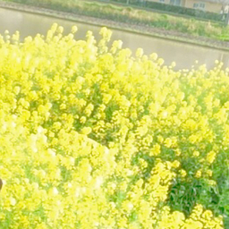 水無月_雨のち晴。