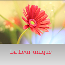 fleurunique