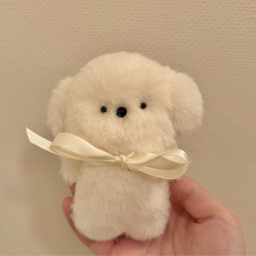 ヒカリ