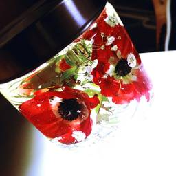 anemone.
