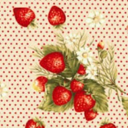 erdbeere