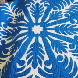 ko'u mau kuikele