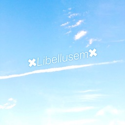 Perpetu Libellusem
