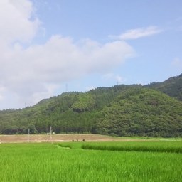 blueskysun