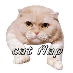 ★☆cat flap☆★
