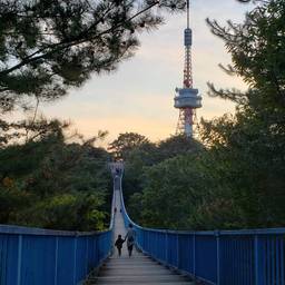 hinataya