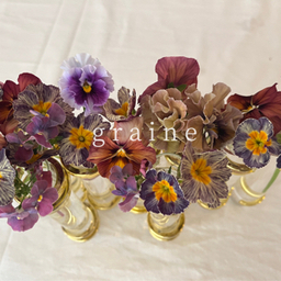 grainevie