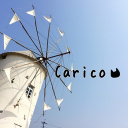 carico