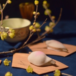 菟道竈門ﾄﾄﾞｳｶﾏﾄ