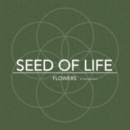 Seed Of Life