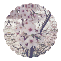 nahonaho0409
