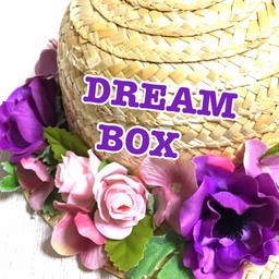 dream-box