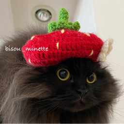 bisou_minette