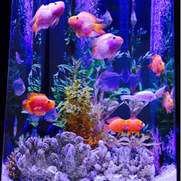 m1sanみぃさん☆