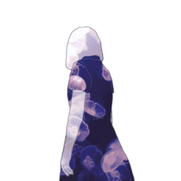 akane