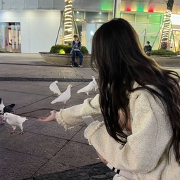 ひなみず