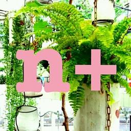 ｎ+