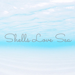 Shells Love Sea ♡