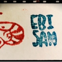 EBI SAN