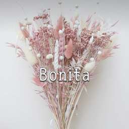 ネイルチップ専門店BonitaNail🐻