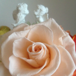 flowers-haru