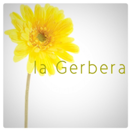 la Gerbera