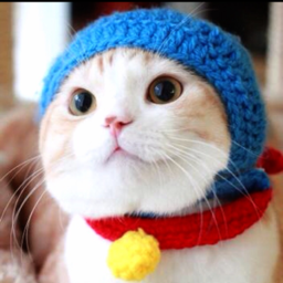 jun×2