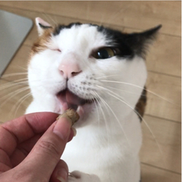 ラムネ～ちゃん☆