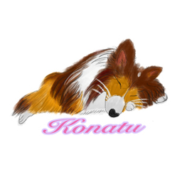 konatu0704