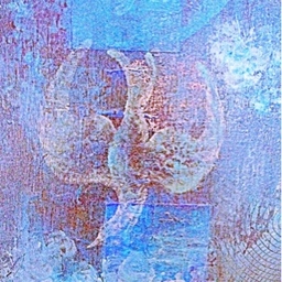 AKOK