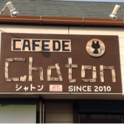 cafe de chaton
