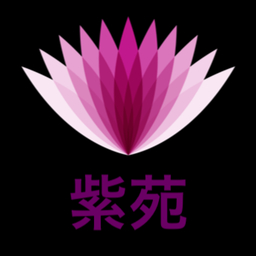 紫苑
