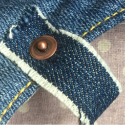 rivet219
