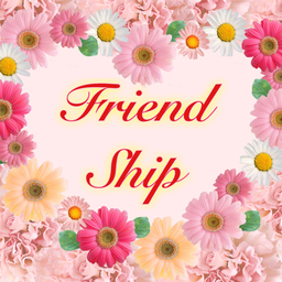 Friend Ship