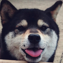 柴直