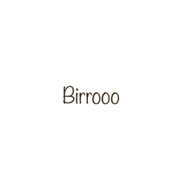 mirrooo