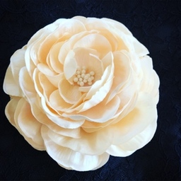 Belle♡Floral