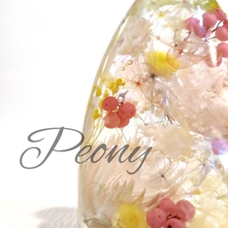 Peony